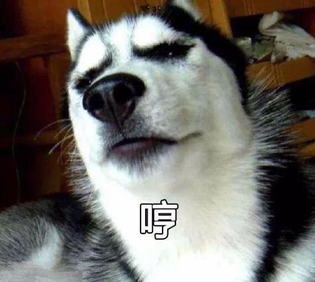 「人民日报」「荐读」5天把“二哈”训练成警犬？女民警：我太难了