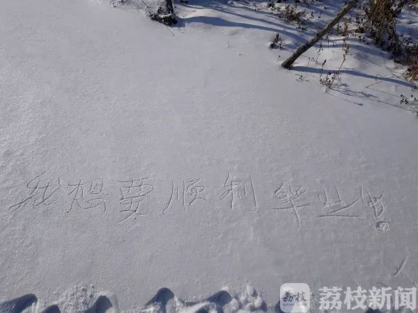 #荔枝新闻#北方迎初雪南方人不淡定了 他们在干这件事……