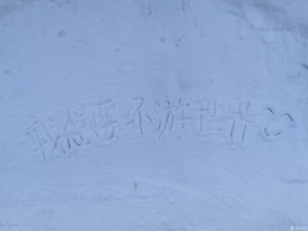 #荔枝新闻#北方迎初雪南方人不淡定了 他们在干这件事……