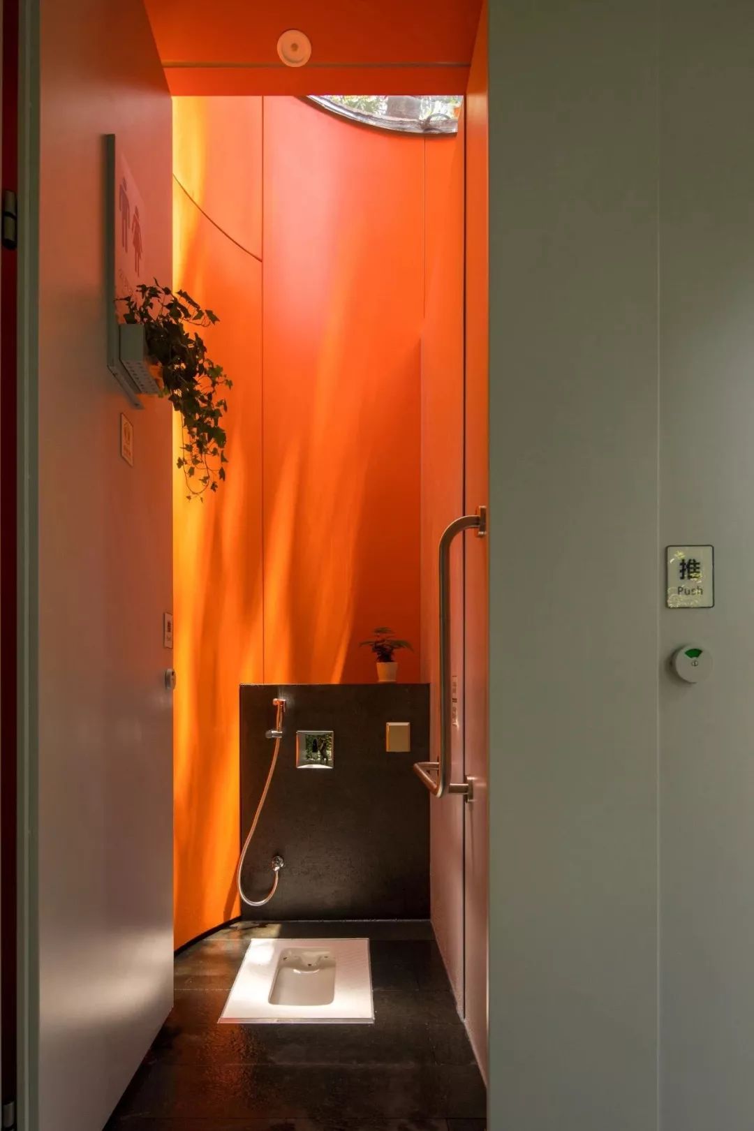 [一条]刷脸启动马桶、wifi全免费……中国诞生最美公厕，别再羡慕日本了