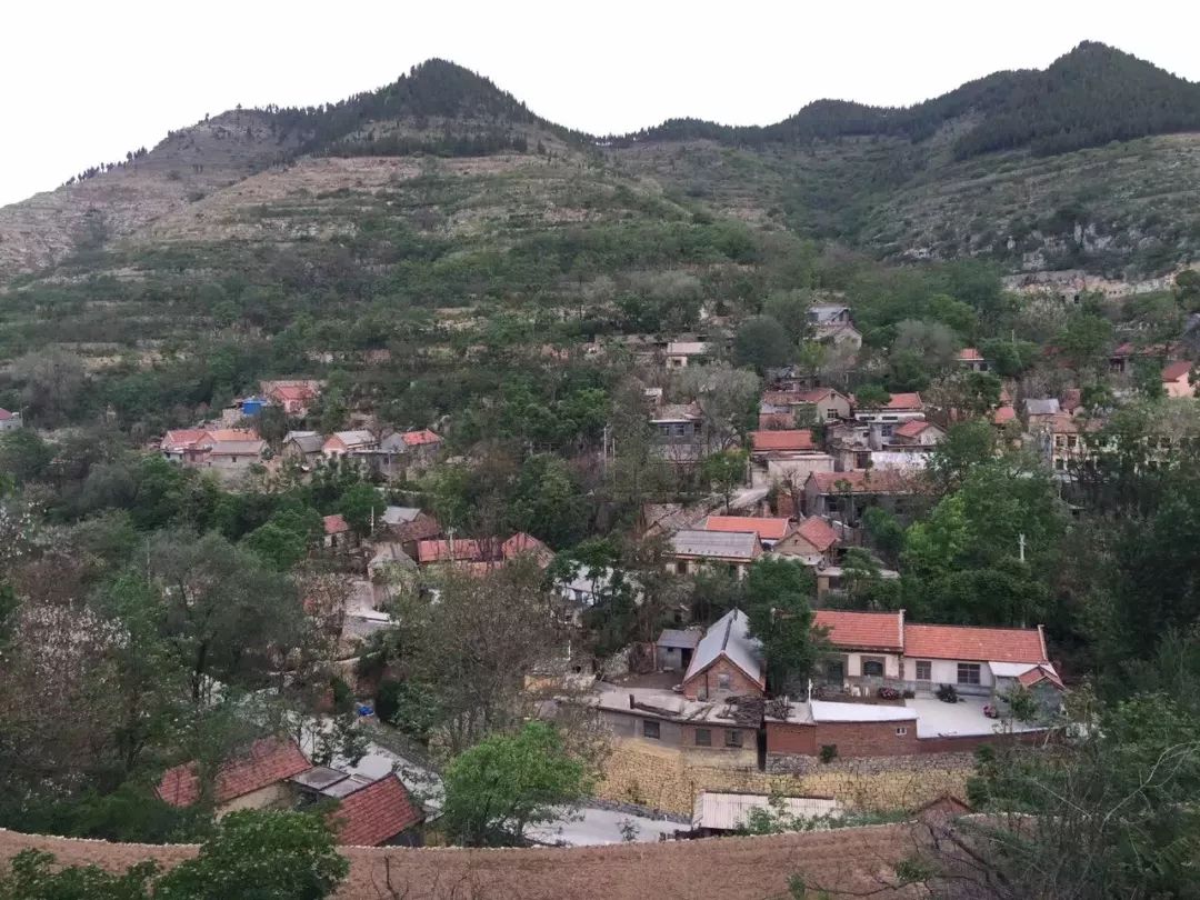 [一条]刷脸启动马桶、wifi全免费……中国诞生最美公厕，别再羡慕日本了