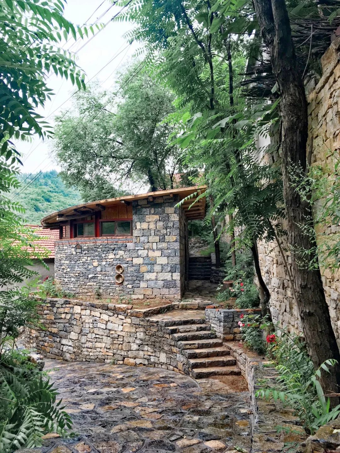 [一条]刷脸启动马桶、wifi全免费……中国诞生最美公厕，别再羡慕日本了