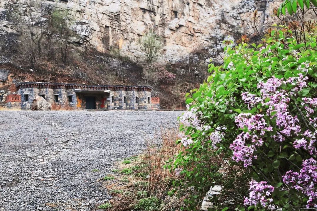 [一条]刷脸启动马桶、wifi全免费……中国诞生最美公厕，别再羡慕日本了