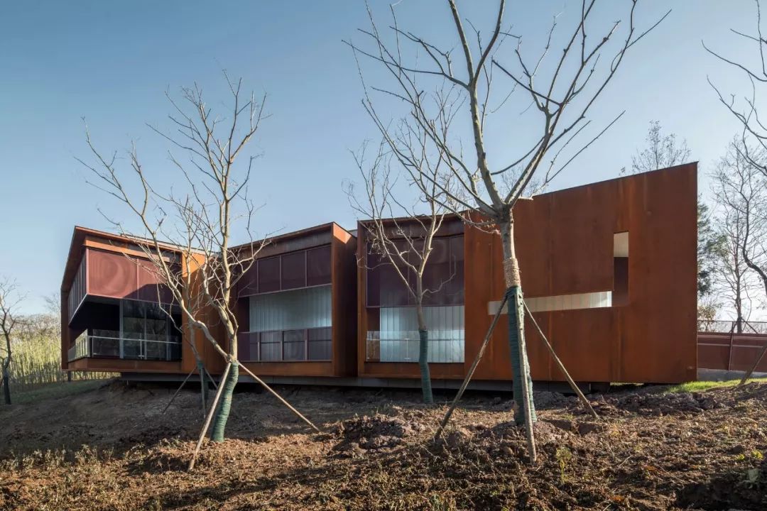 [一条]刷脸启动马桶、wifi全免费……中国诞生最美公厕，别再羡慕日本了