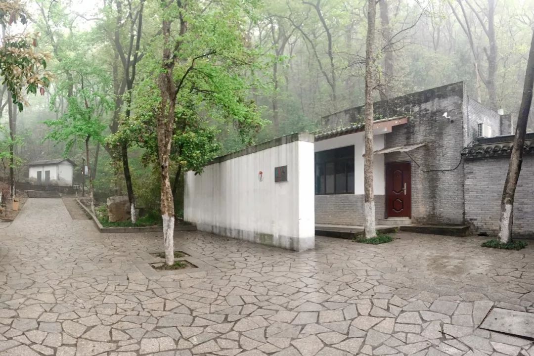 [一条]刷脸启动马桶、wifi全免费……中国诞生最美公厕，别再羡慕日本了