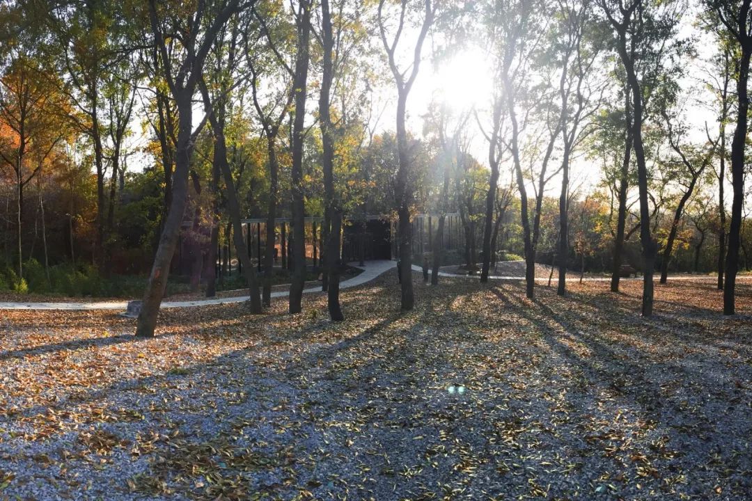 [一条]刷脸启动马桶、wifi全免费……中国诞生最美公厕，别再羡慕日本了