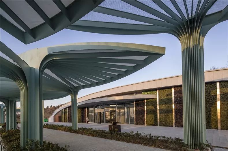 [一条]刷脸启动马桶、wifi全免费……中国诞生最美公厕，别再羡慕日本了