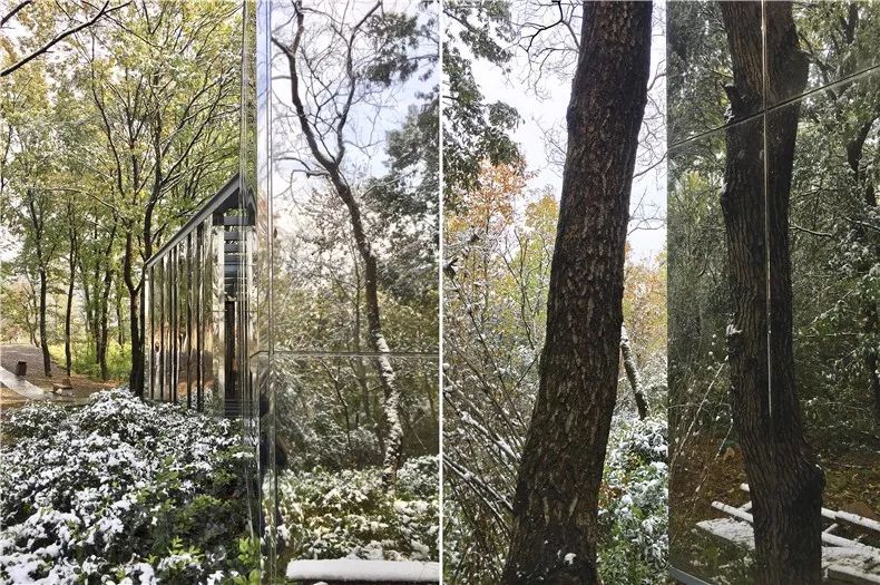 [一条]刷脸启动马桶、wifi全免费……中国诞生最美公厕，别再羡慕日本了