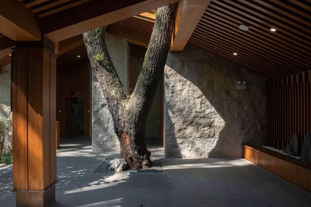 [一条]刷脸启动马桶、wifi全免费……中国诞生最美公厕，别再羡慕日本了