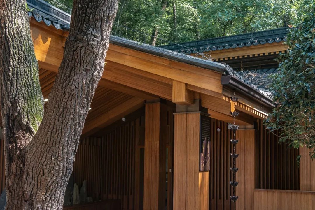 [一条]刷脸启动马桶、wifi全免费……中国诞生最美公厕，别再羡慕日本了