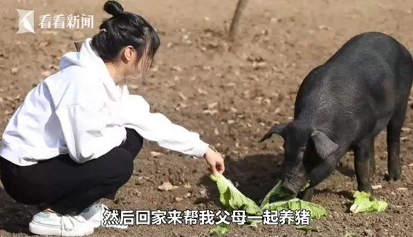 [荆楚网]95后美女大学生专注养猪被催婚，亲爹急了：陪嫁300头猪