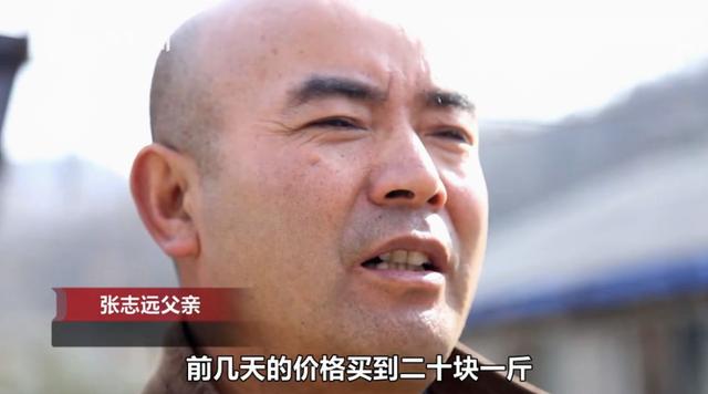 [荆楚网]95后美女大学生专注养猪被催婚，亲爹急了：陪嫁300头猪