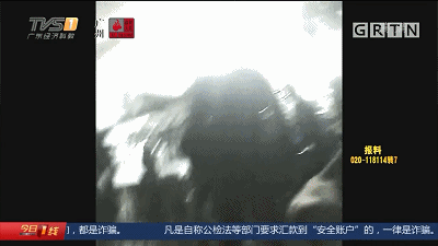 #南充政法#病死猪肉在正规肉联厂“洗白”，每日流入市场上千斤，涉案人被抓