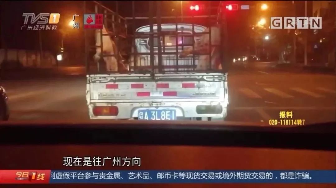 #南充政法#病死猪肉在正规肉联厂“洗白”，每日流入市场上千斤，涉案人被抓