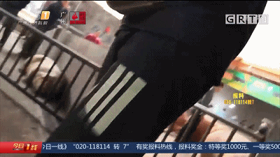 #南充政法#病死猪肉在正规肉联厂“洗白”，每日流入市场上千斤，涉案人被抓