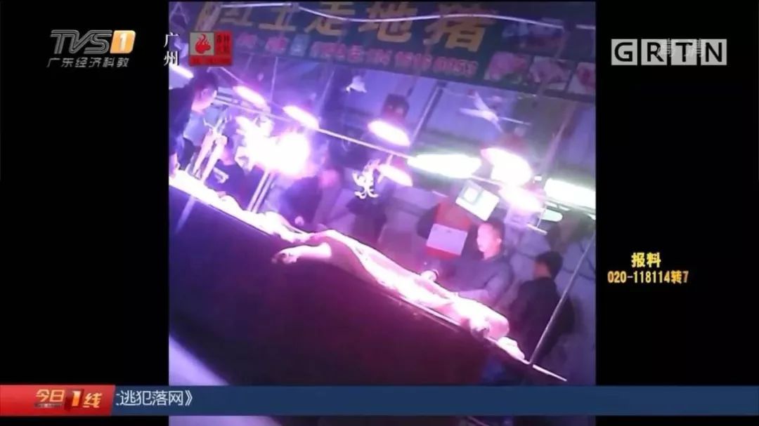 #南充政法#病死猪肉在正规肉联厂“洗白”，每日流入市场上千斤，涉案人被抓