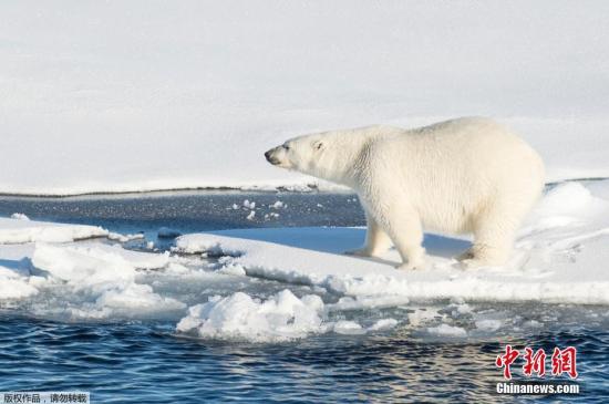 经济日报■世界气象组织：2010-2019年是有记录以来最热十年
