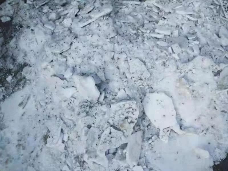 东北网：「关注」大冬天里买蚊帐？小区地下室成了“蚊子窝”