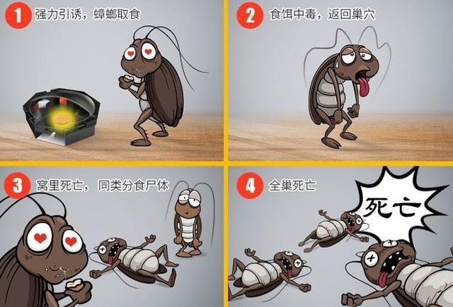 中国质量万里行■供暖之后别忘记准备这事：集中消灭打不死的小强
