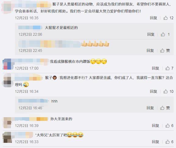 生活报@猕猴在市内蹭饭18天，民警消防出警近30次终将其“捉拿归案”