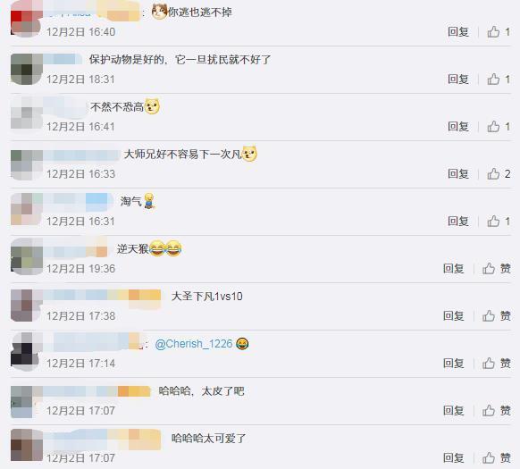 生活报@猕猴在市内蹭饭18天，民警消防出警近30次终将其“捉拿归案”