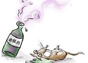 河南社旗一幼儿园4名幼儿误食老鼠药中毒:初查结果表明