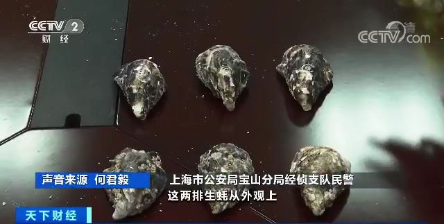 河北青年报：你吃的法国品牌生蚝可能是假的 14元低端品卖40元