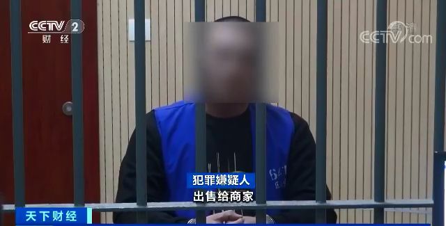 河北青年报：你吃的法国品牌生蚝可能是假的 14元低端品卖40元