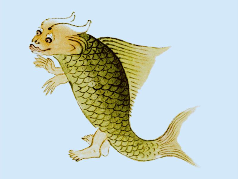 山海经异兽"陵鱼"