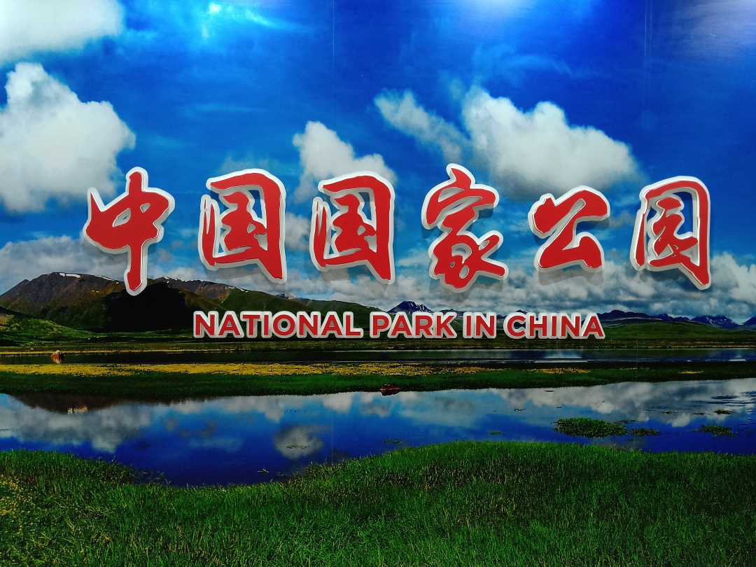 #经济日报#我国国家公园建设迈出实质性步伐