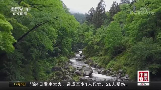 【掌上兰州】就爱看，你们相拥取暖的样子