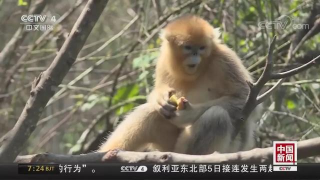 【掌上兰州】就爱看，你们相拥取暖的样子