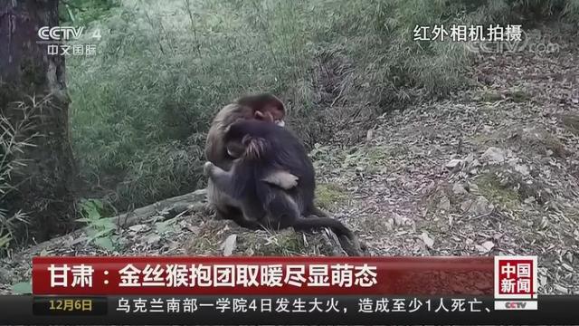 【掌上兰州】就爱看，你们相拥取暖的样子