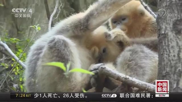 【掌上兰州】就爱看，你们相拥取暖的样子