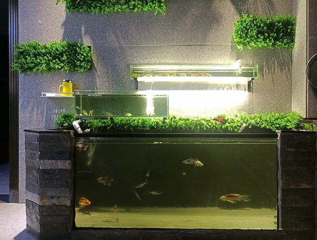 意境十足的室内鱼池简直是室内的一大景观