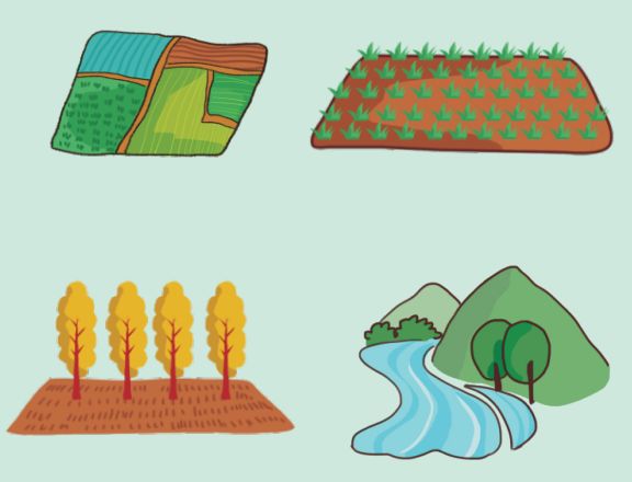 【生态环境部】土壤环保小百科（4）｜治理土壤污染，地方政府部门职责如何划分？