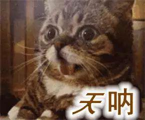 [半岛晨报]公司老板“诱拐”少女，只为让她们学习房地产知识……