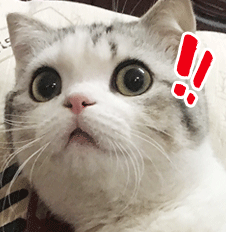 #邯郸新闻网#100款违法违规APP下架整改！光大银行、考拉海购、微店等在列