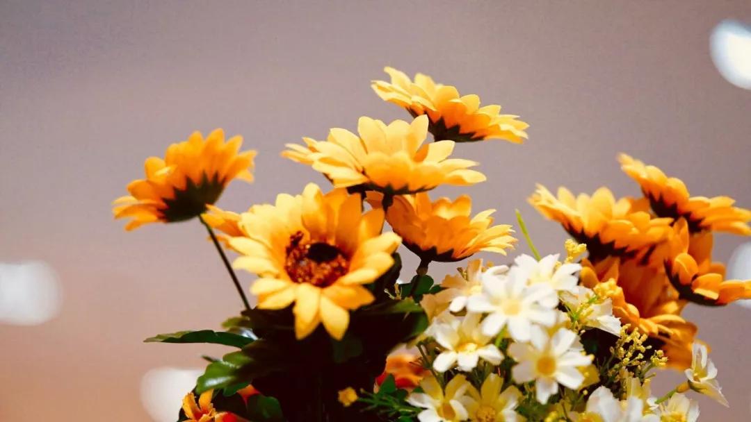 经济日报：对工作的态度，决定了你人生的高度