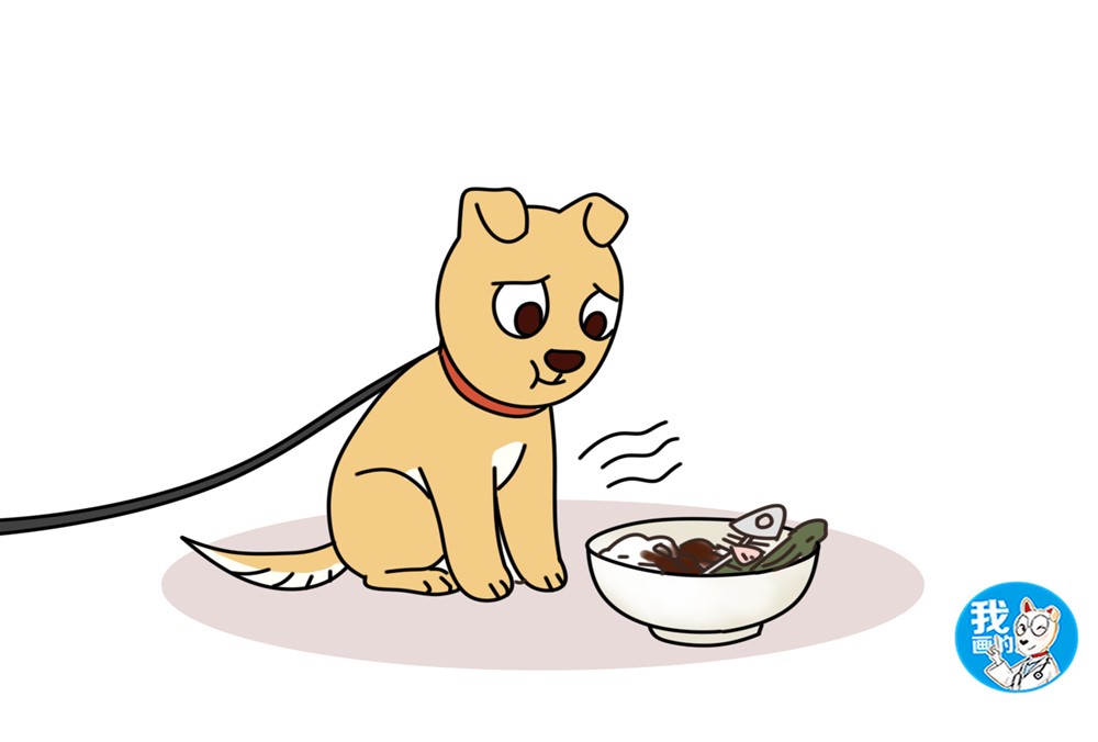 辟谣中华田园犬不需要打疫苗同样是狗该花的钱一分不能少