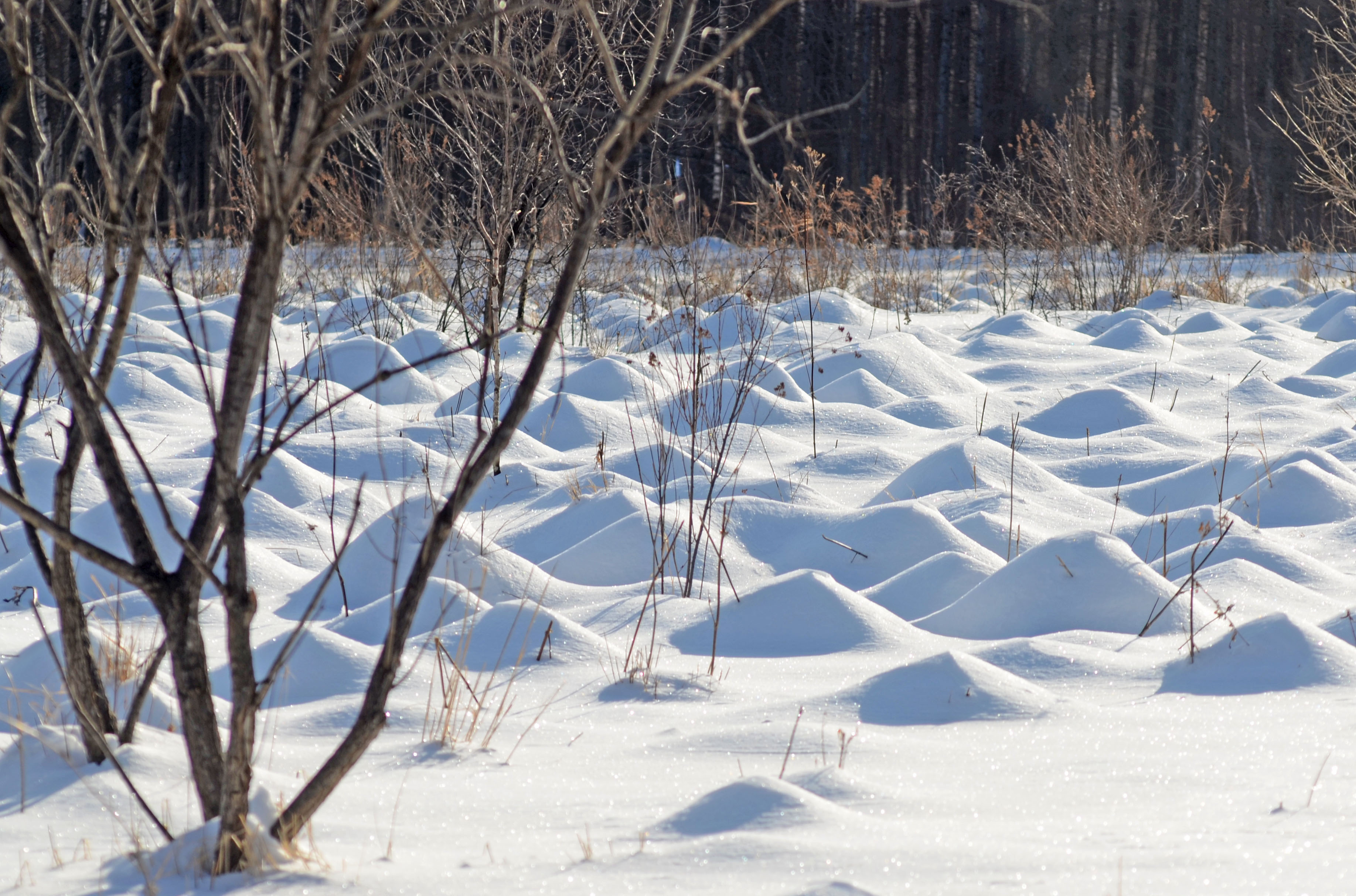 绥芬河雪景图片