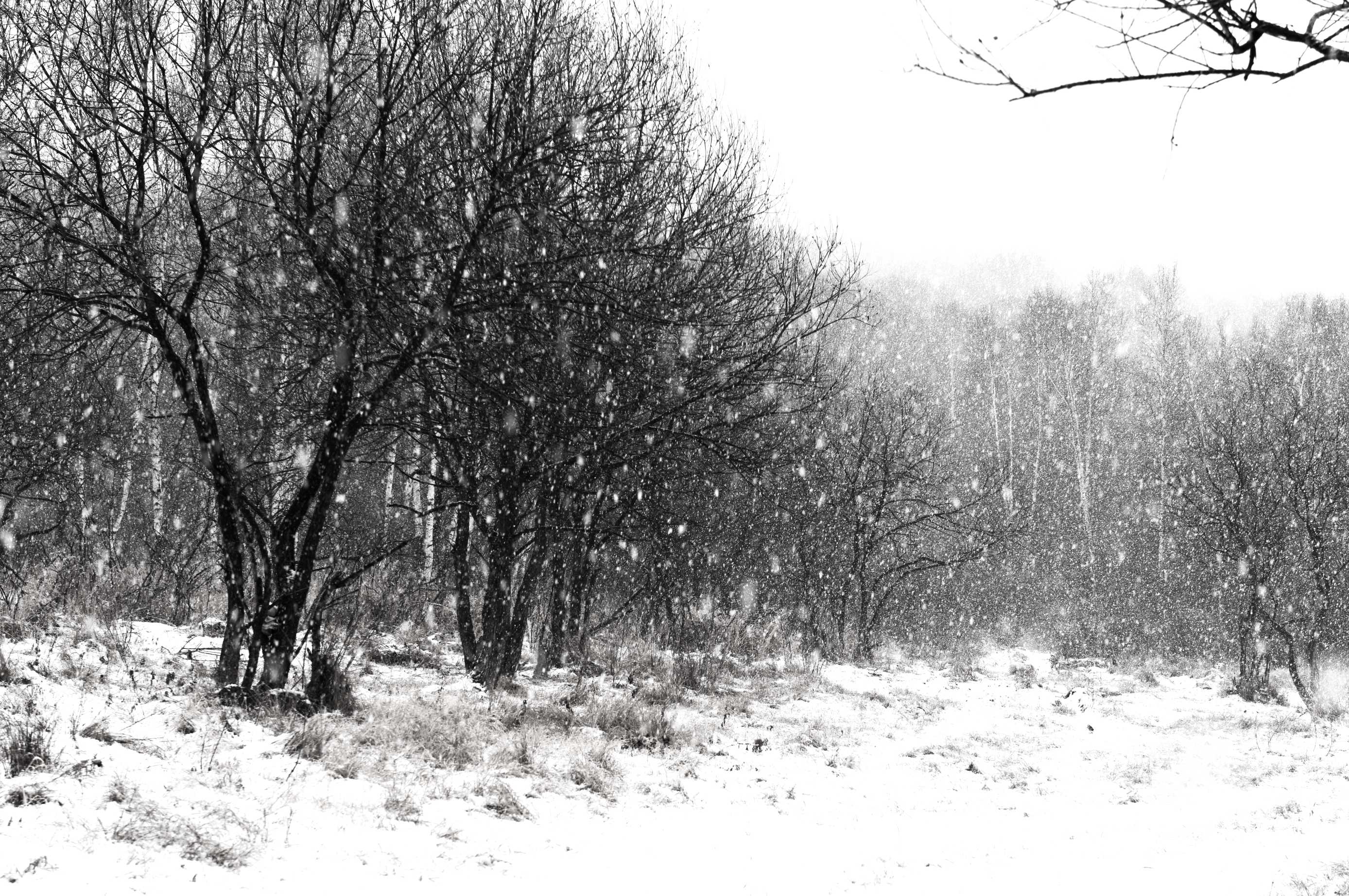 大雪时节,请欣赏百年口岸绥芬河的雪景