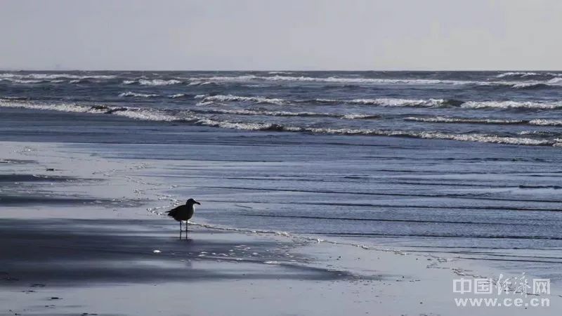 「中国经济网」读书，是世上第一等好事｜可读