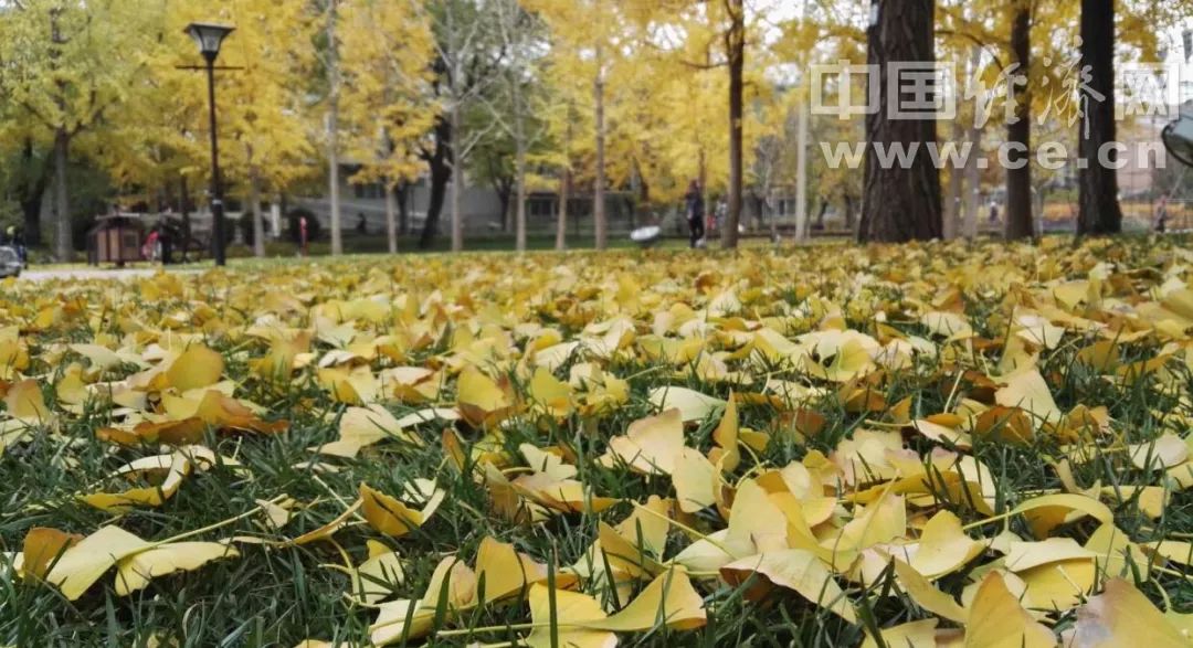 「中国经济网」读书，是世上第一等好事｜可读