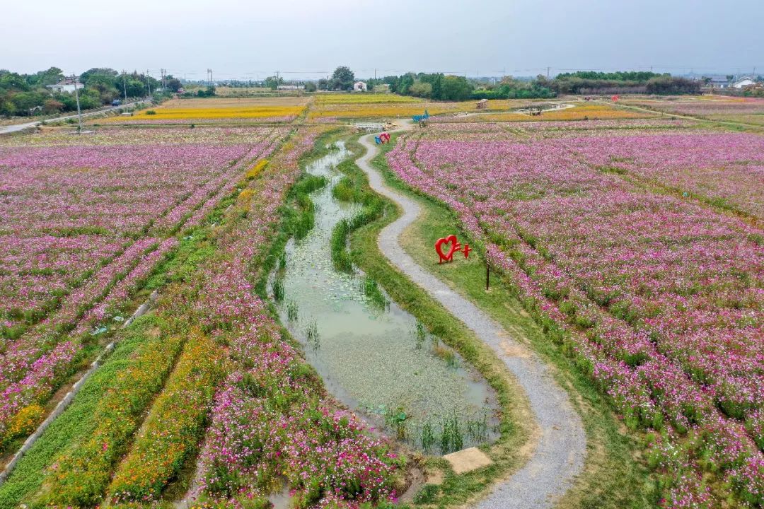 2019溧阳别桥原乡1号公路半程马拉松圆满落幕