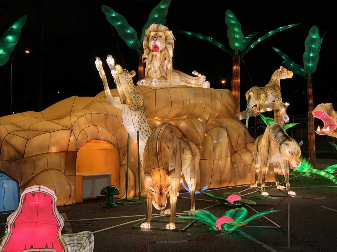 经济日报■“天下华灯”嘉年华在纽约花旗球场举办 点亮北美最大彩灯盛会