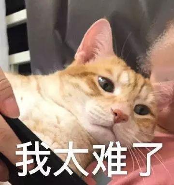 半岛晨报@“妈妈去拿快递，看上了快递小哥！”