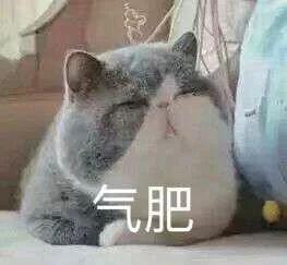 半岛晨报@“妈妈去拿快递，看上了快递小哥！”