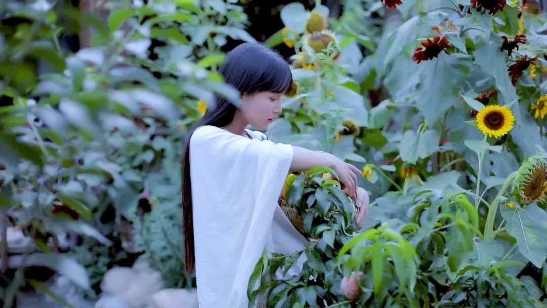「中青评论」别急着否定李子柒，也别匆忙定义农耕生活