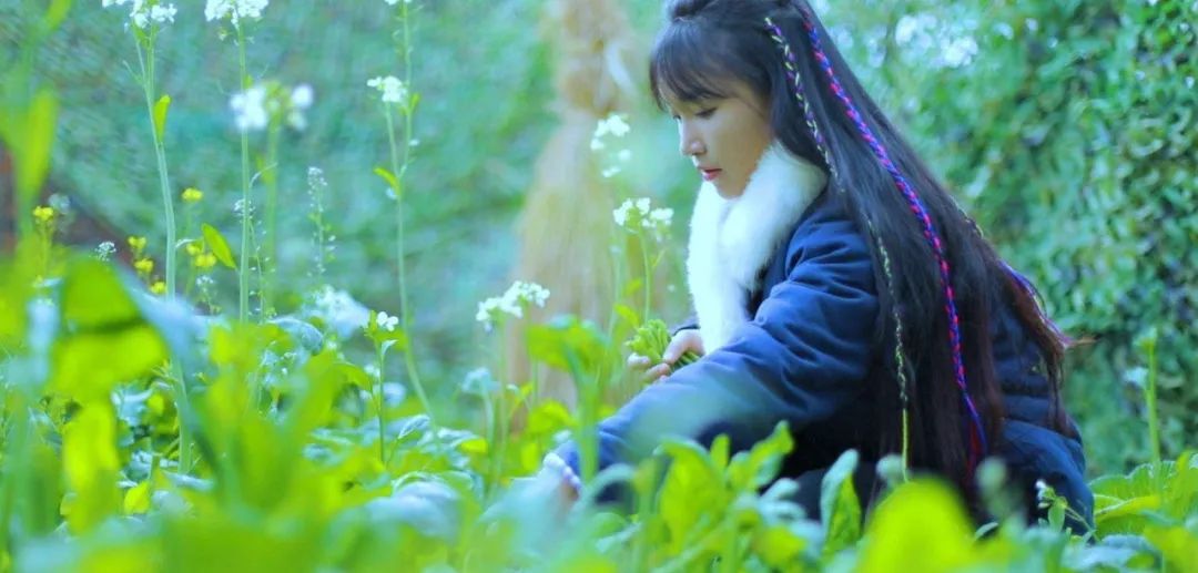 「中青评论」别急着否定李子柒，也别匆忙定义农耕生活